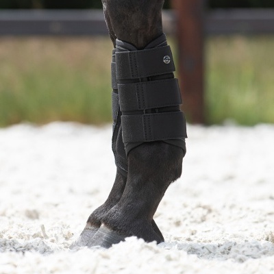 Pernilheira preta em perna de cavalo sobre areia branca