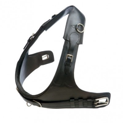 Arnês preto em couro com fivelas metálicas
