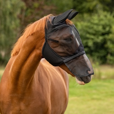 Cavalo com máscara protetora preta em rede ao ar livre