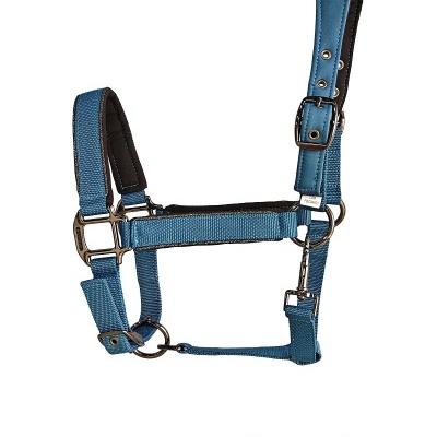 Cabresto e guia azul para cavalo com detalhes em metal