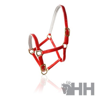 Cabezada vermelha e branca para cavalo com fivelas douradas