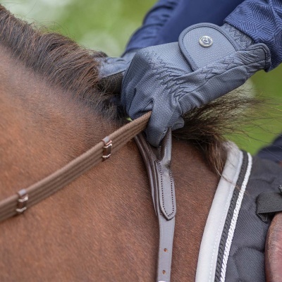 Luvas de equitação azuis escuras em mãos segurando rédeas de cavalo castanho