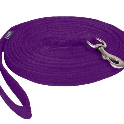 Trela para cão roxa com mosquetão metálico prateado