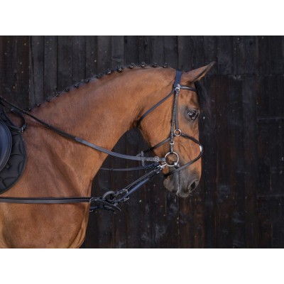 Cavalo castanho com sela e rédeas pretas frente a parede de madeira escura