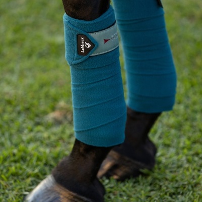 Bandagens azuis LeMieux nas pernas de cavalo