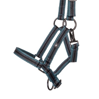 Cabresto para cavalo azul com tiras de tecido e fivelas metálicas