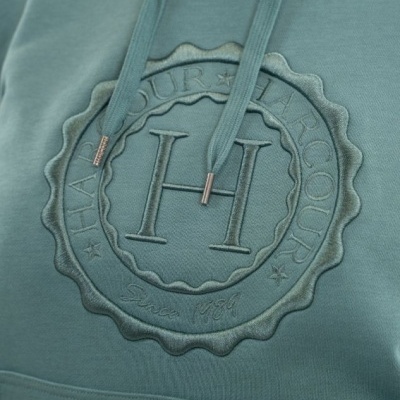 Sweatshirt verde-azulado com bordado em relevo e capuz