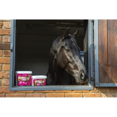 Cavalo preto dentro de estábulo com embalagens de suplemento gastro aid