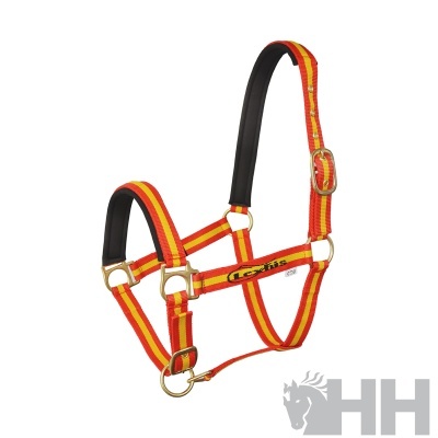 Cabresto para cavalo em nylon laranja e amarelo com acessórios metálicos