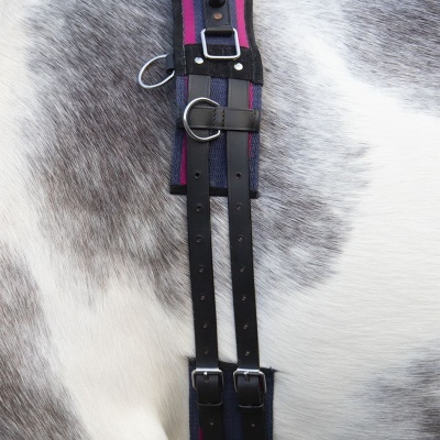 Cinta de trabalho para cavalo em pele preta e tecido roxo e preto na barriga do cavalo