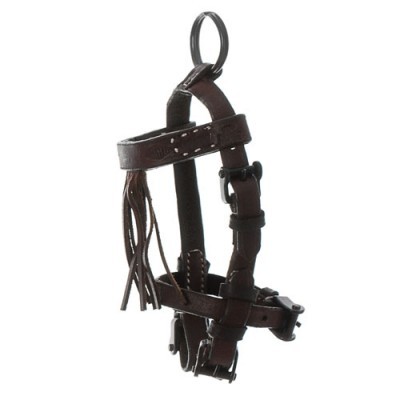 Cabresto em pele castanha escura com fivelas metálicas e franjas decorativas
