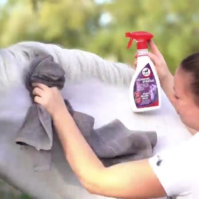 Pessoa a aplicar spray removedor de manchas num cavalo branco