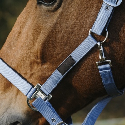 Cabide azul claro de nylon com fivelas metálicas em cavalo castanho