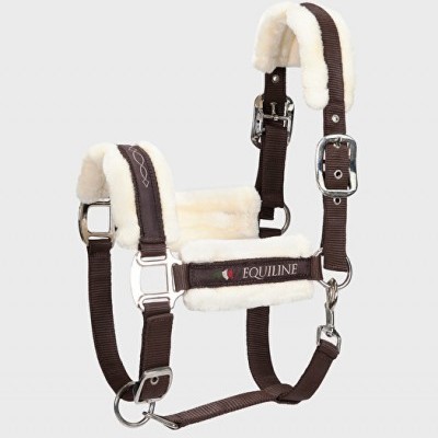 Cabresto para cavalos castanho com almofadas brancas e fivelas metálicas