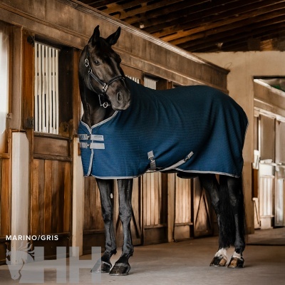 Cavalo preto com manta azul-marinho e cinzenta numa cavalariça de madeira