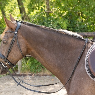 Cavalo castanho com sela e rédeas em ambiente exterior