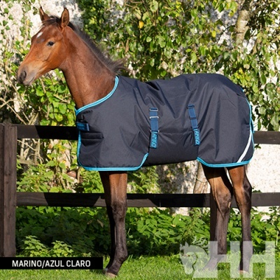 Cavalo com cobertor azul-marinho e azul claro ao ar livre