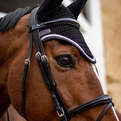 Cavalo com cabeçada de couro preta e protetor de orelhas tricotado preto com etiqueta HARCOUR