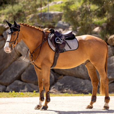Cavalo castanho com sela e equipamento e fundo de rochas e vegetação