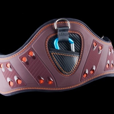 Cinto de proteção para escalada bordeaux com mosquetão azul e argola metálica