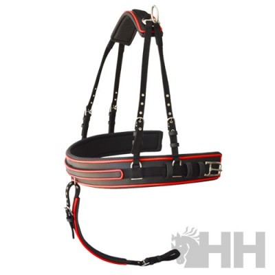 Cinto de equitação preto com detalhes vermelhos e brancos e fivela metálica