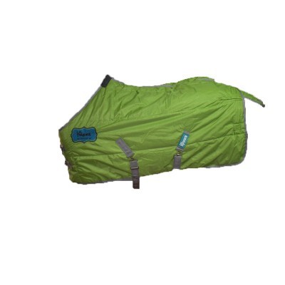 Capa para cão verde com alças ajustáveis e etiquetas azuis