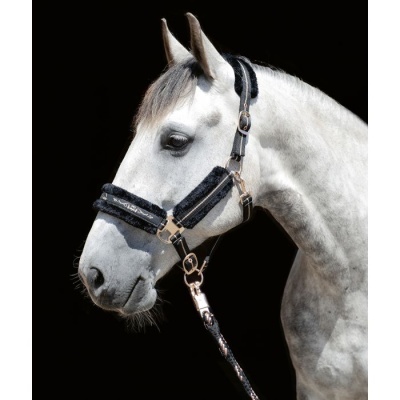 Cavalo branco com cabresto preto de tecido felpudo e detalhes dourados