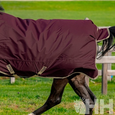 Cobertor vinho para cavalo com cintas beje em campo verde