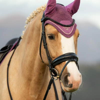 Cavalo com arreio preto e touca roxa com texto LEMIEUX