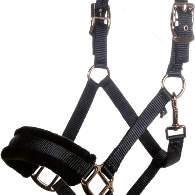 Cabresto para cavalo em nylon preto com almofadas acolchoadas e fivelas metálicas