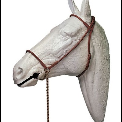 Cabeça de cavalo branca com rédea castanha e corrente metálica