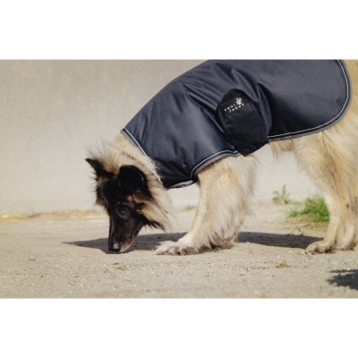 Cão com capa preta de proteção ao ar livre