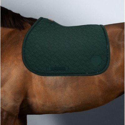 Tapete acolchoado verde escuro para cavalo colocado no dorso de um cavalo castanho