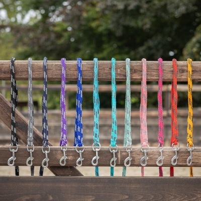 Trelas coloridas para cães penduradas em madeira ao ar livre