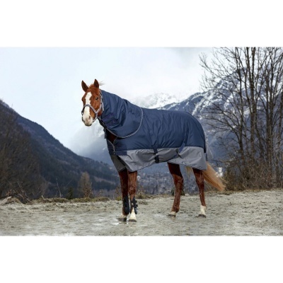 Cavalo com manta azul escura e cinza numa paisagem de montanha.