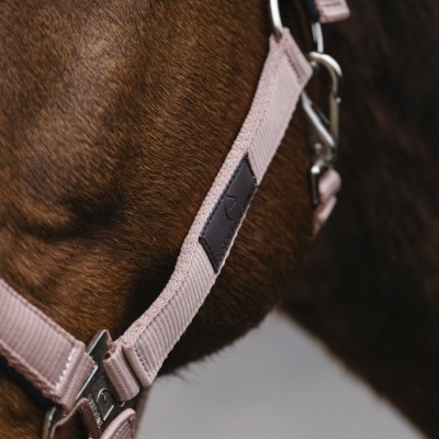 Cabeçada cor de rosa claro em cavalo castanho com acessórios metálicos