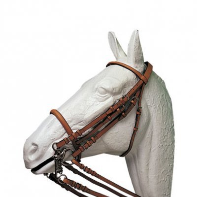 Cabeça de cavalo branco com cabresto castanho e rédeas