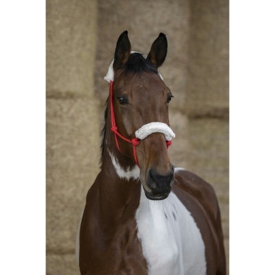 Cavalo castanho e branco com cabresto vermelho e acolchoado branco em frente a fardos de palha