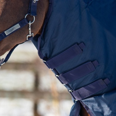 Cavalo castanho com manta azul escura e fechos de velcro no corpo