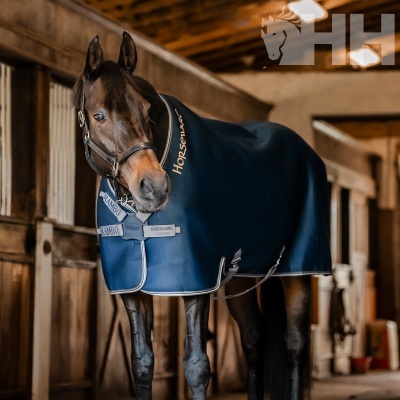 Cavalo castanho com capa azul HORSEWARE em cocheira de madeira