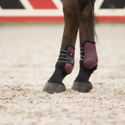 Patas dianteiras de cavalo com proteções bordô e preto na areia