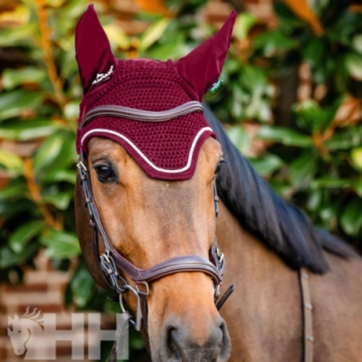 Cavalo castanho com touca vermelha e peitoral de couro.