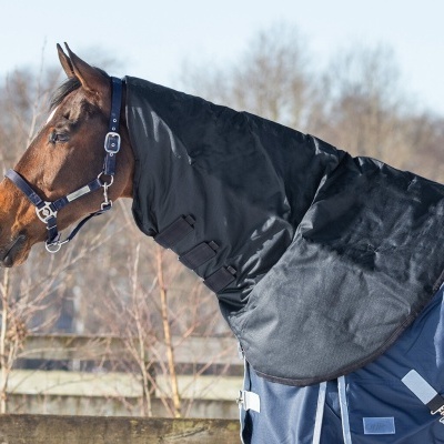 Cavalo com capa preta e manta azul ao ar livre