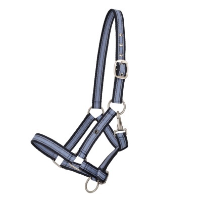 Cabresto ajustável azul e preto para animais com acessórios metálicos