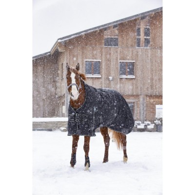 Cavalo castanho com manta preta na neve em frente a um edifício de madeira