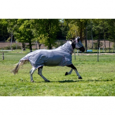 Cavalo cinzento com cobertura integral a correr num campo verde