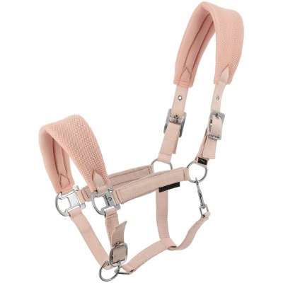 Cabresto para cavalo rosa com detalhes metálicos e almofadado