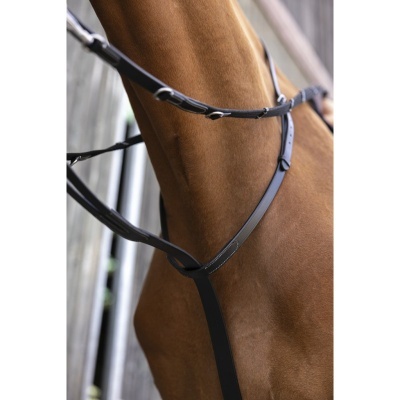 Pescoço de cavalo castanho com arreio de couro preto