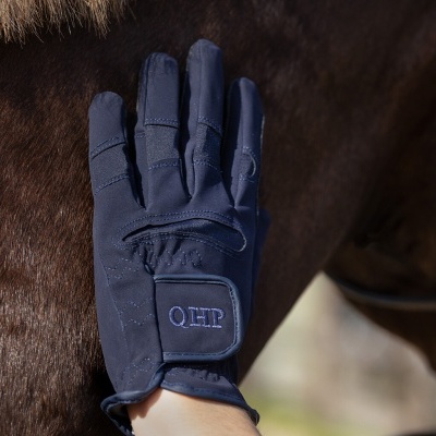 Luvas azuis com velcro QHP sobre cavalo castanho