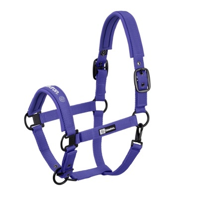 Cabresto de nylon roxo com fivelas e argolas pretas